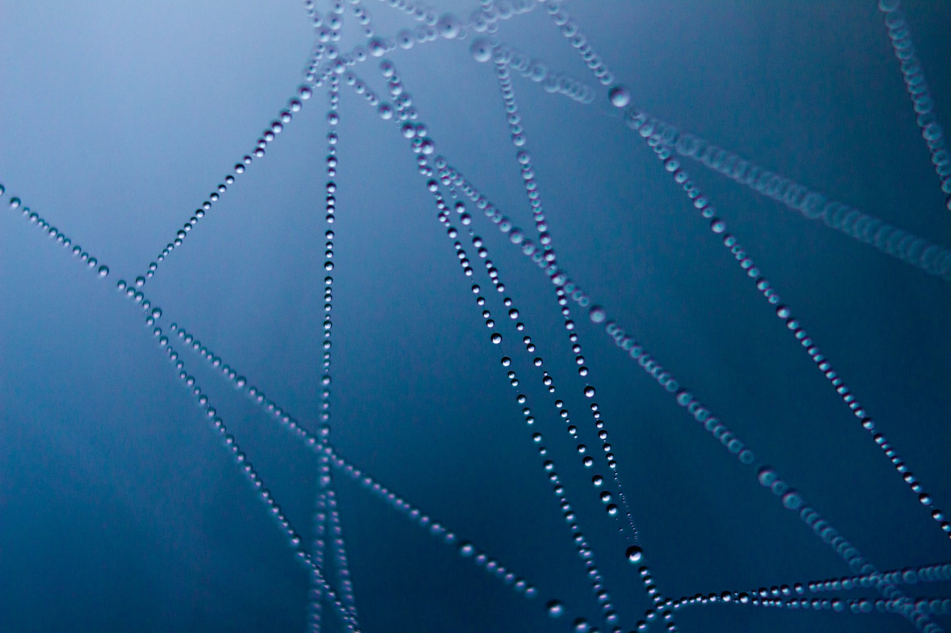 connected water dot illustration